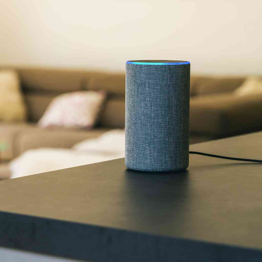 Smart Speakers & Voice Assistants